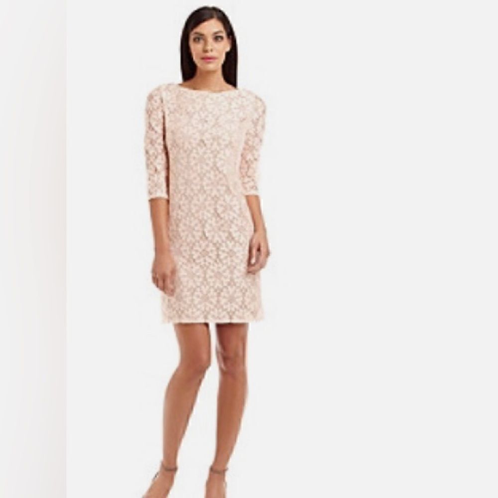 Jessica Howard Illusion Seath Foemal Dress Lace Pink Underlay 3/4 Sleeve NWT 6